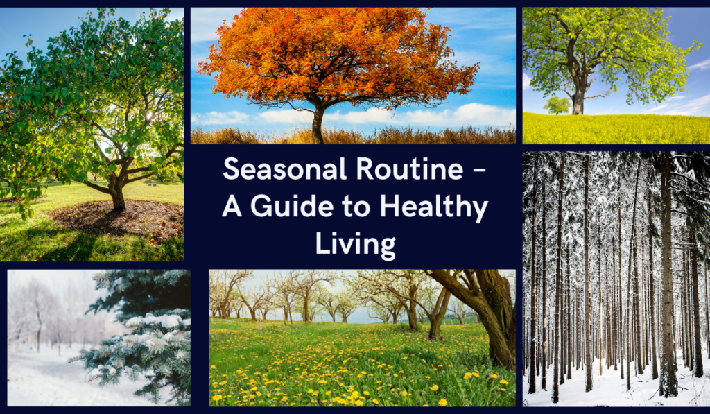 Seasonal Routine – A Guide to Healthy Living